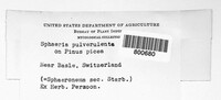 Image Associated With the Occurence